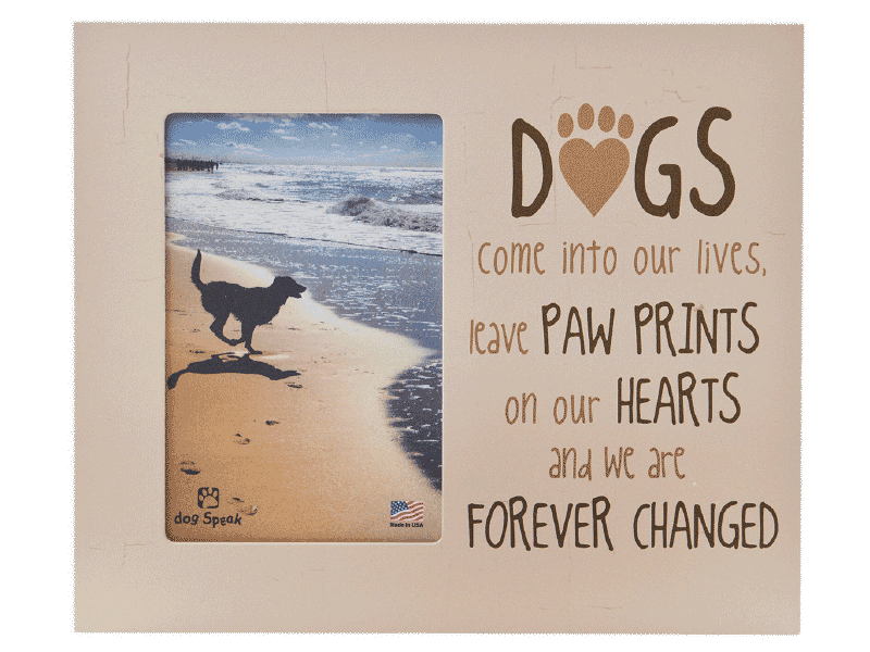 Frame - Dogs Come Into Our Lives