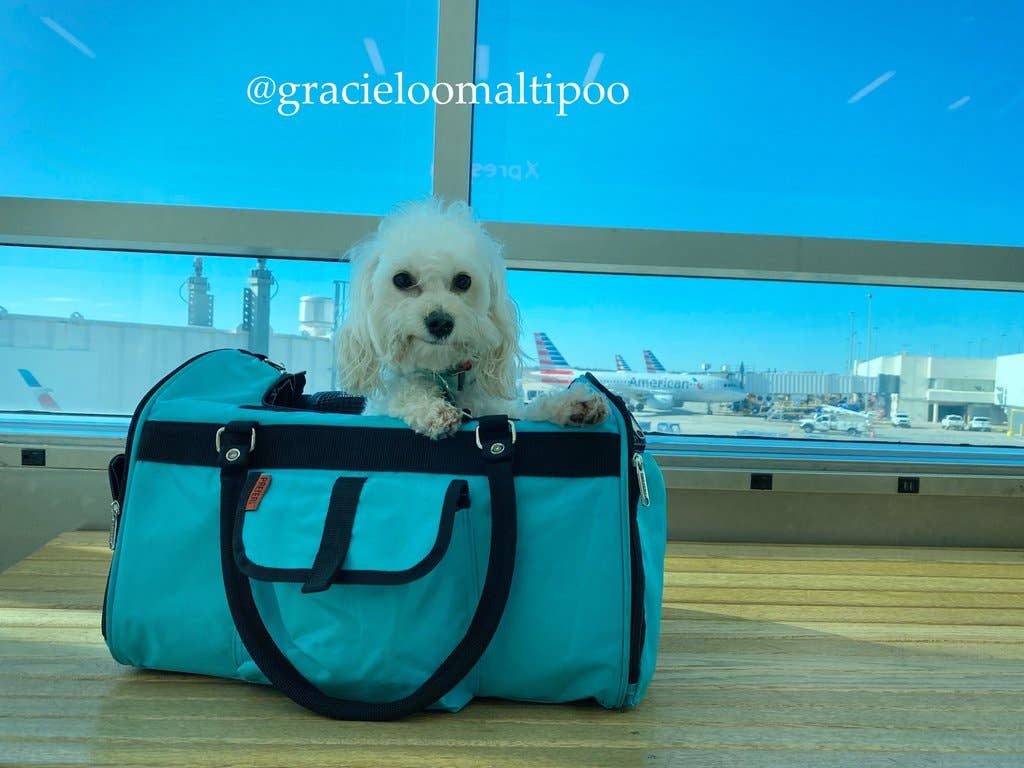 Hideaway Duffel - Aqua