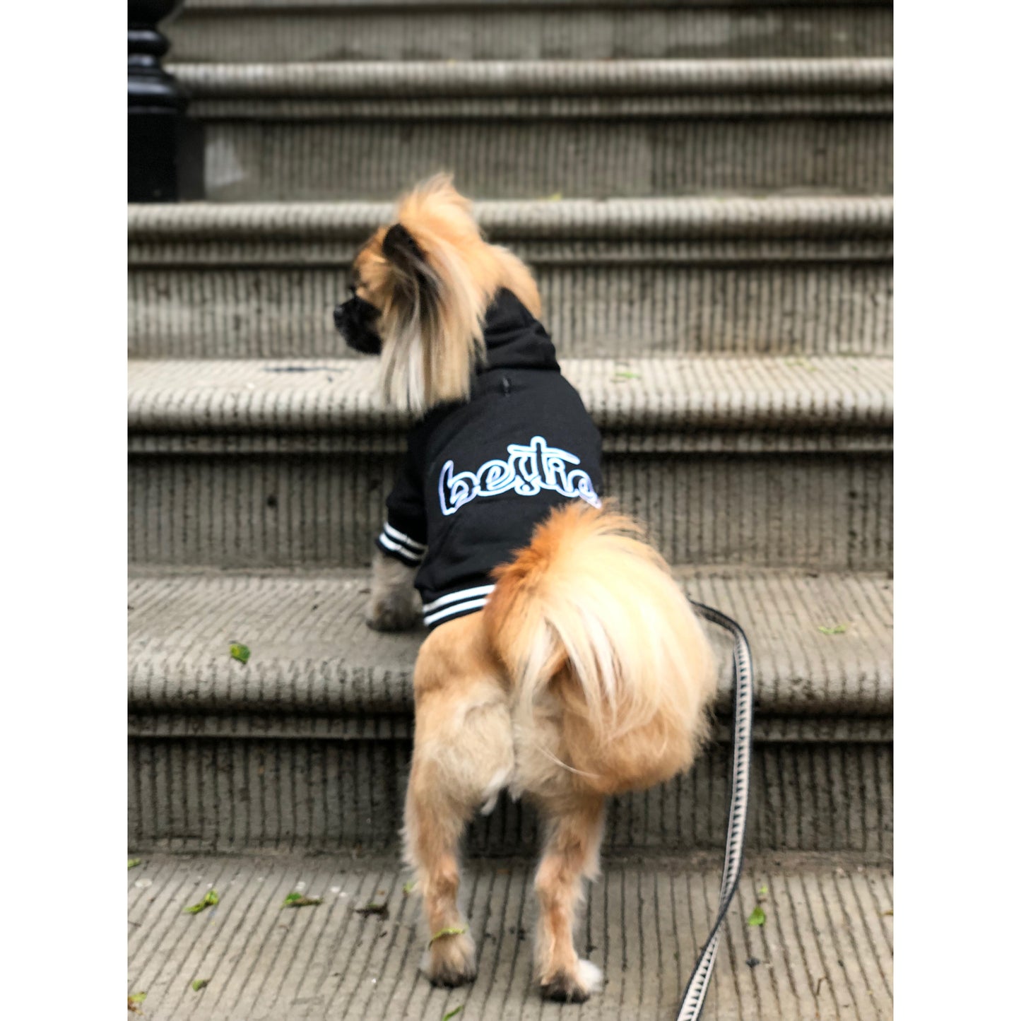 Bestie Dog Hoodie
