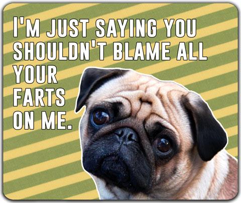 Blame Your Farts Drink Coaster