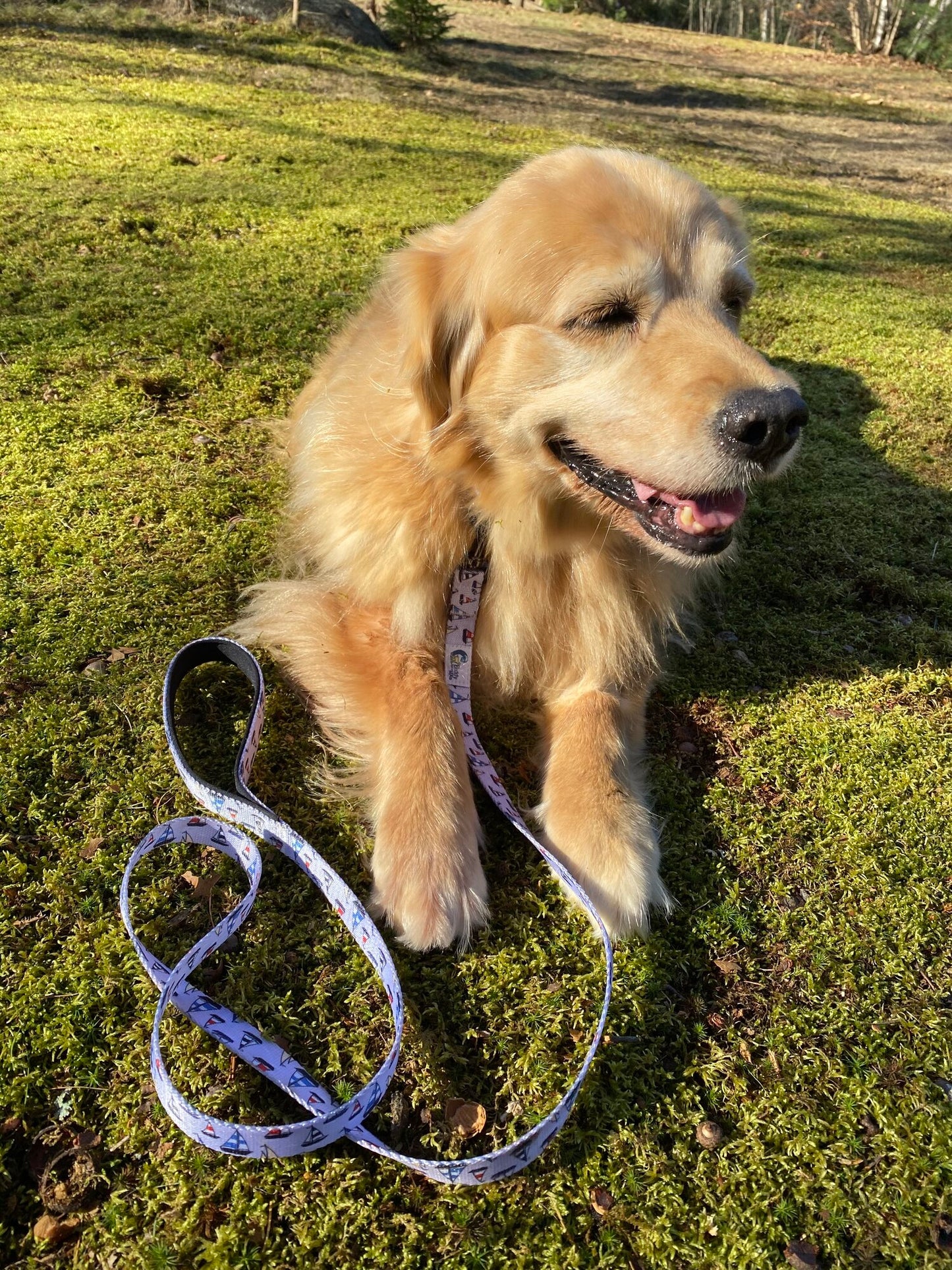 Buddy by The Sea Leash and Collar Set