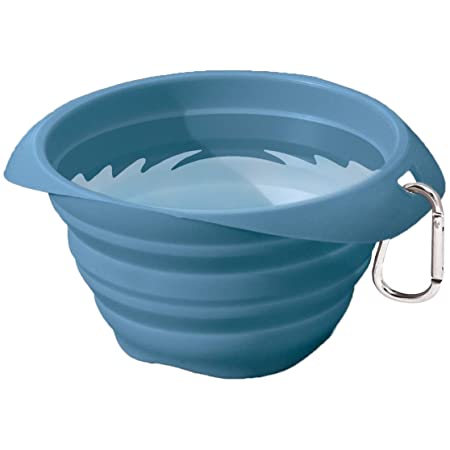 Kurgo Collapse A Bowl
