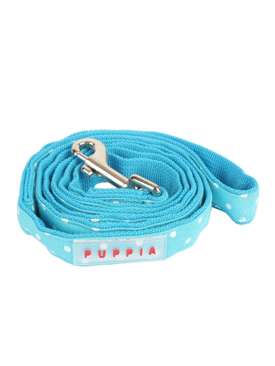 Dotty Lead