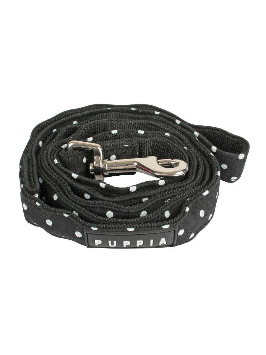 Dotty Lead