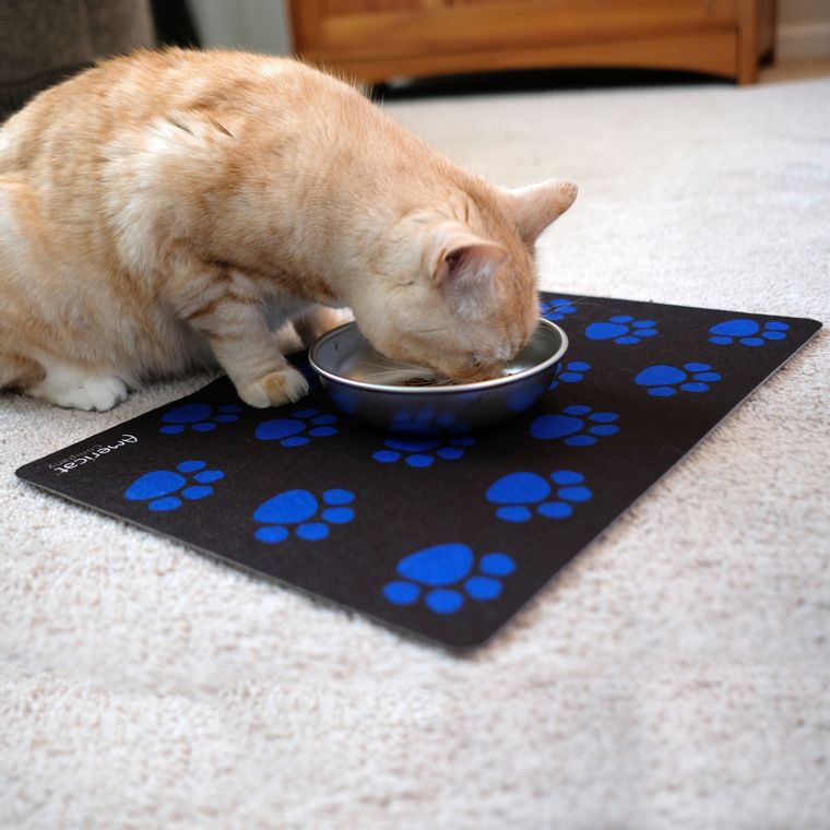 Eco Friendly Cat Placemat
