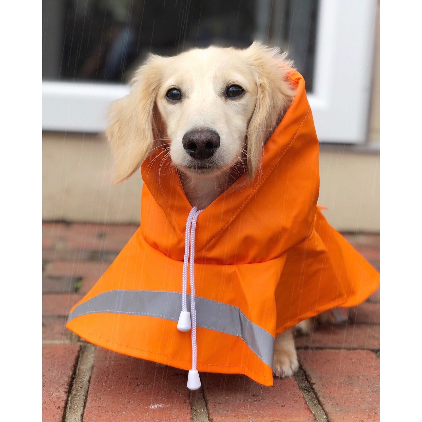 Orange Raincoat