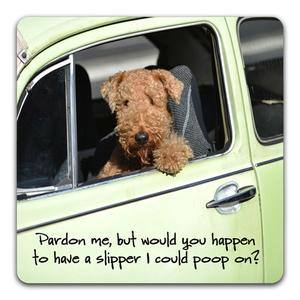 Pardon Me Drink Coaster