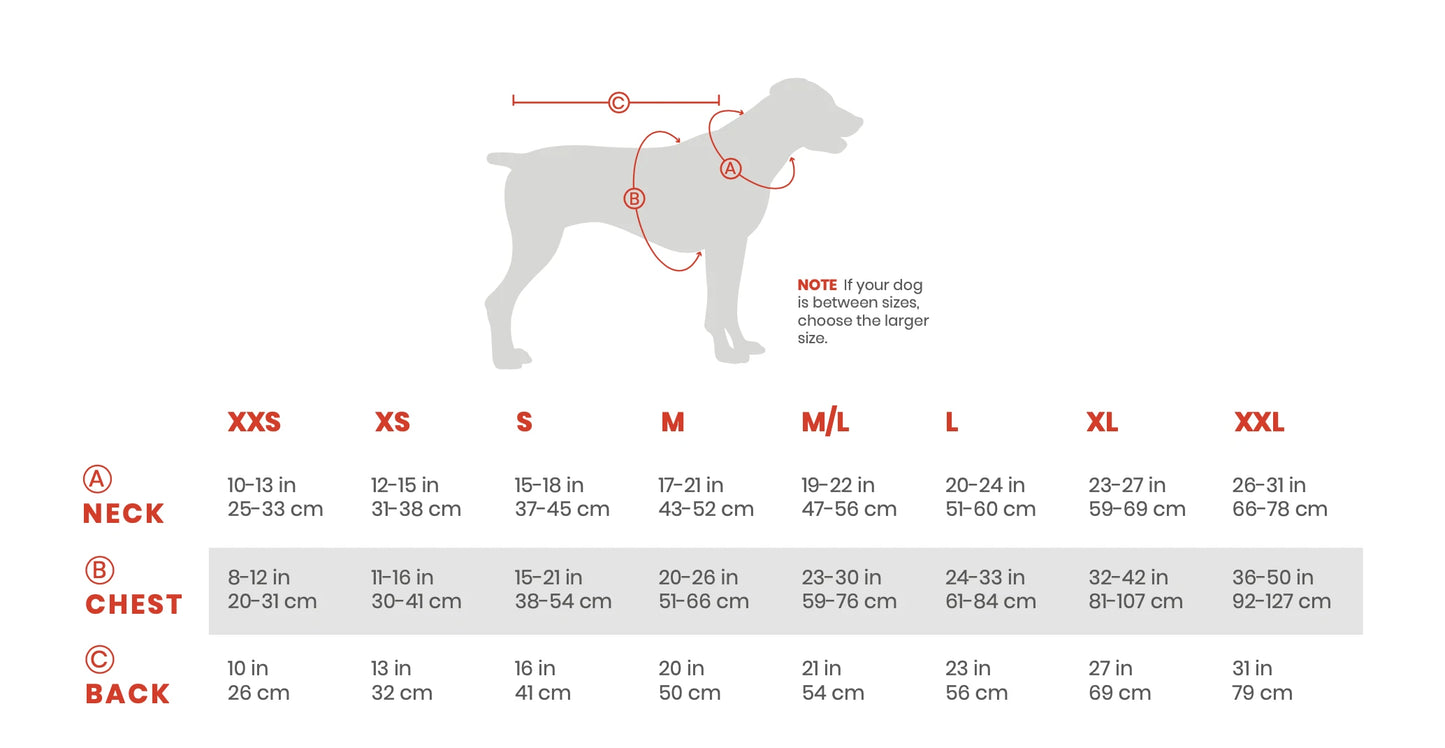 Narragansett Bay Dog Jacket