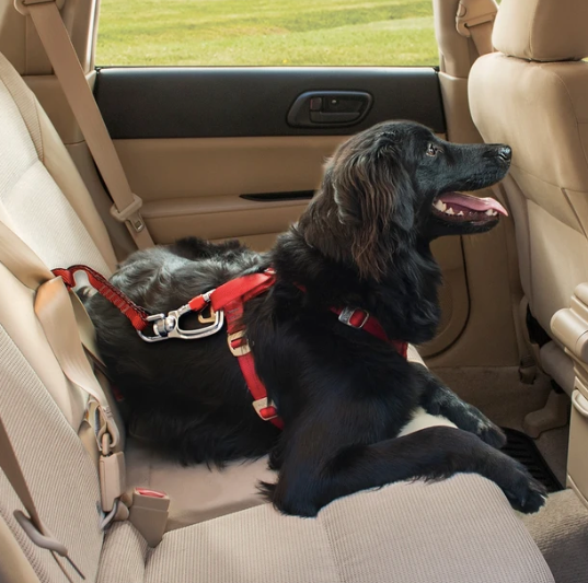 Kurgo Dog Car Swivel Tether