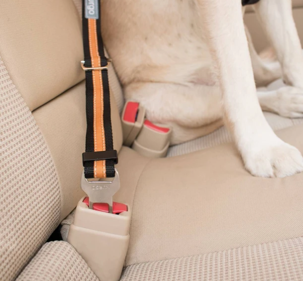 Kurgo Direct to Seatbelt Tether