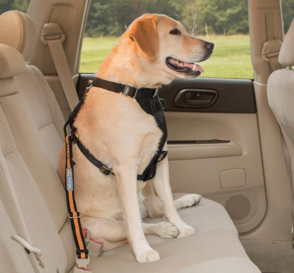 Kurgo Direct to Seatbelt Tether