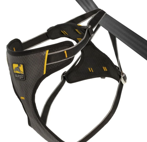 Kurgo Impact Seat Belt Harness