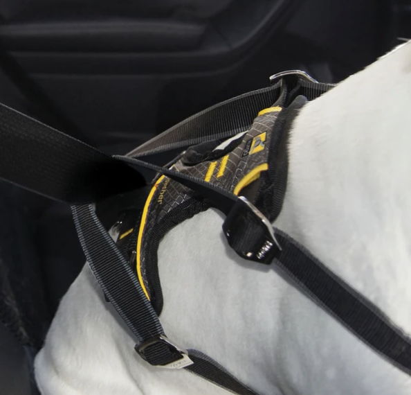 Kurgo Impact Seat Belt Harness