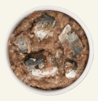 Weruva Wet Cat Food 6oz. Can-Kitty Gone Wild