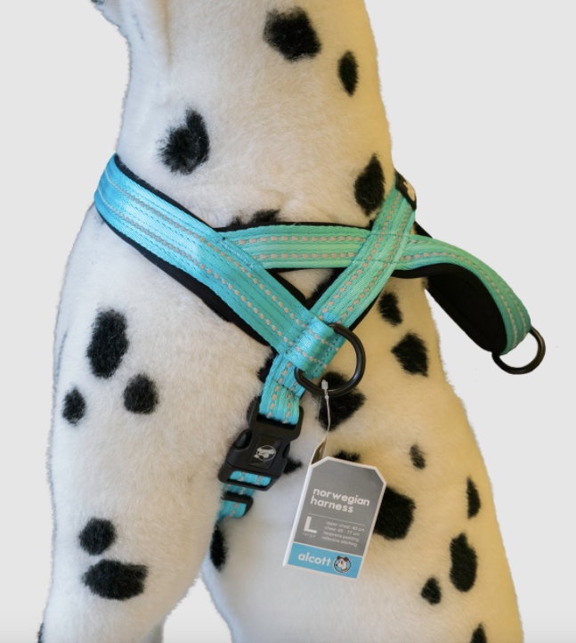 Alcott Norwegian Harness Blue Bayside Gifts Maggies s Pet Boutique