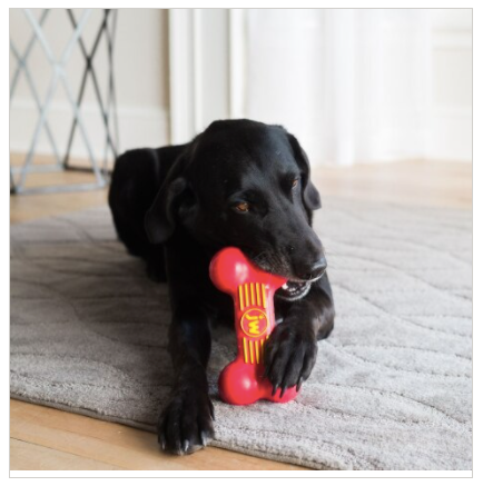 JW Pet iSqueak Bone