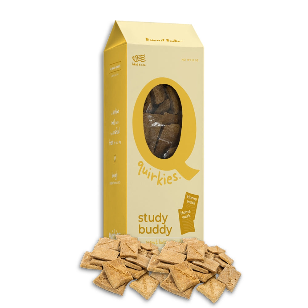 Quirkies Study Buddy Treats