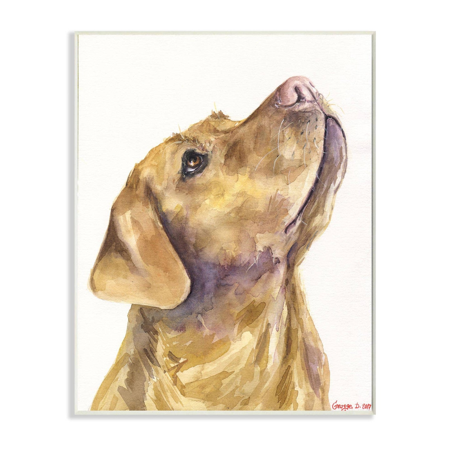 Yellow Labrador Gazing Upwards Wall Plaque