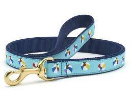 Beach Balls Leash