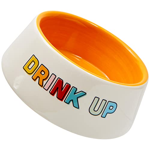 Drink Up Dog Bowl
