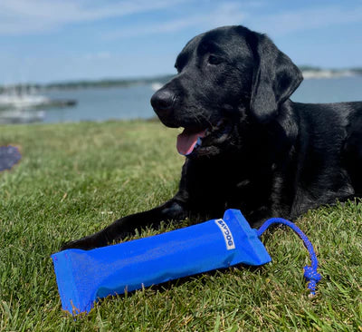 Classic Bumper Dog Toy