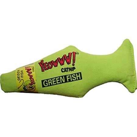 Green Fish Cat Nip Toy