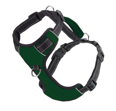 Chesapeake Harness