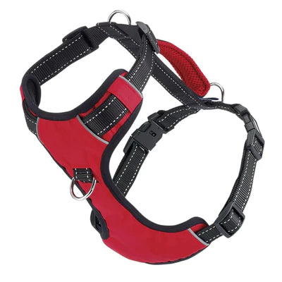 Chesapeake Harness