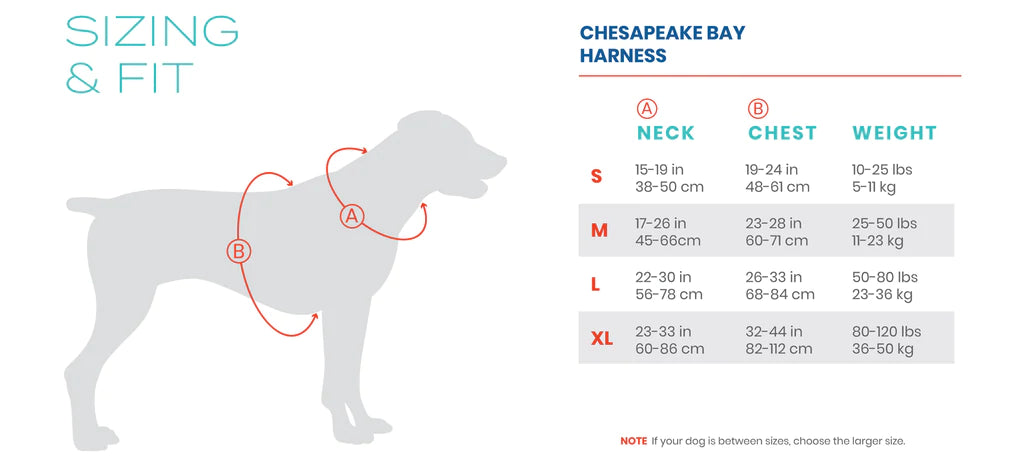 Chesapeake Harness