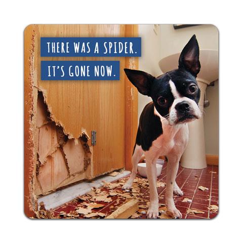 There is a Spider Drink Coaster