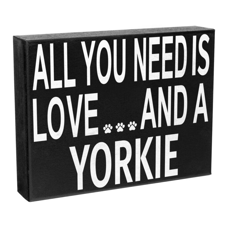All You Need Is Love And A Yorkie