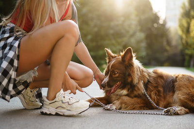 healthy young woman petting dog