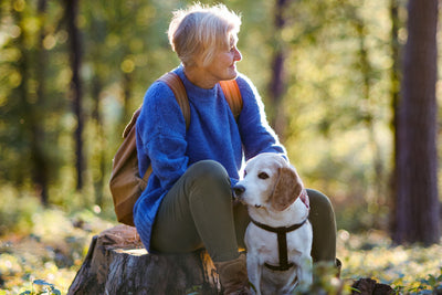 How to Keep Your Pet Healthy on National Pet Wellness Month