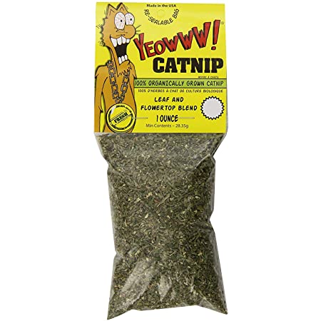 1oz catnip