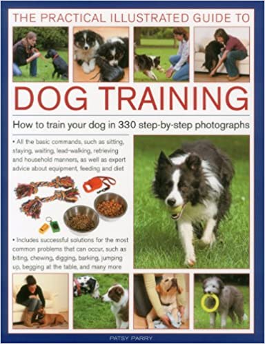 The Practical Illustrated Guide to Dog Training: How to train your dog in 330 step-by-step photographs by Patsy Parry
