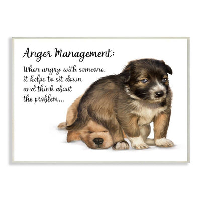 Anger Management Advice Puppy Wall Plaque