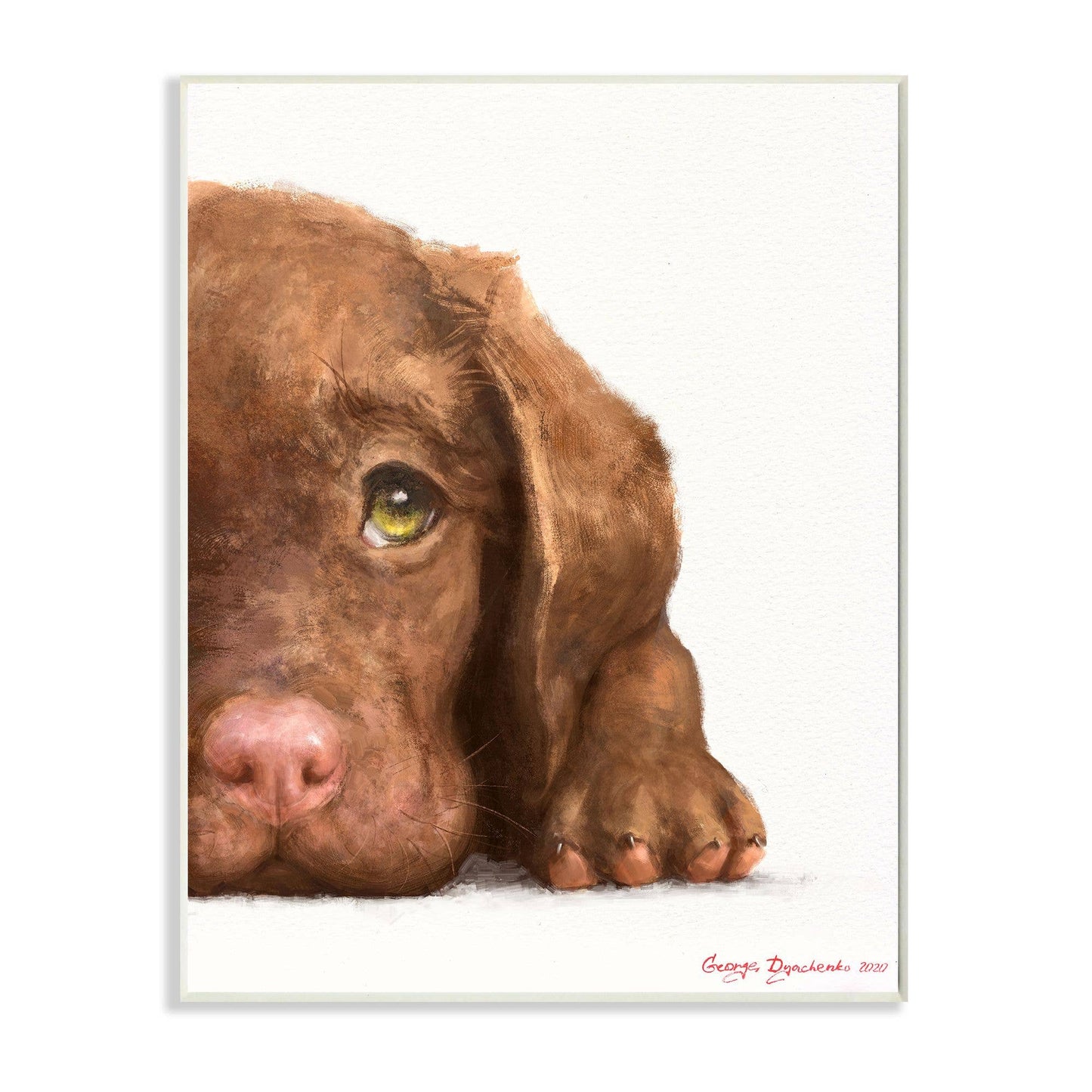  Chocolate Labrador Portrait Wall Plaque