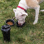 Doggie Duo Water/Food Storage Container
