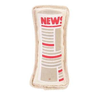 Paper Canvas Squeaker Toy