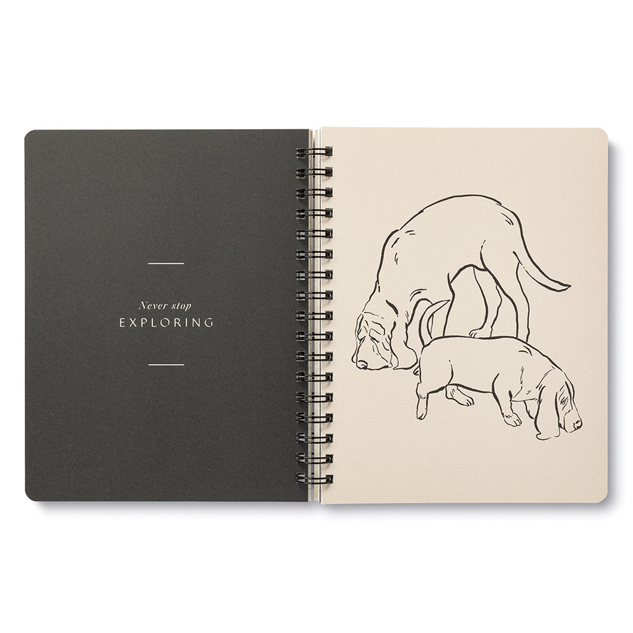 Dog Notebook Play All Day