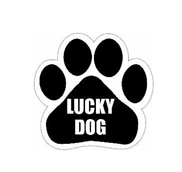 Car Magnet-Lucky Dog!