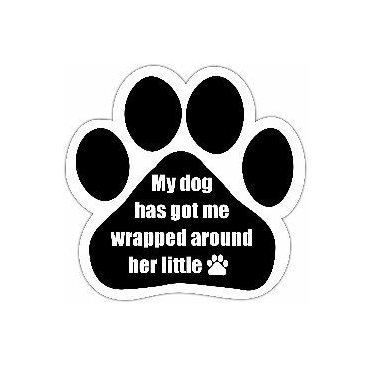 Car Magnet-My Dog Has Got Me Wrapped Around Her Little Paw