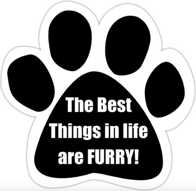 Car Magnet-The Best Things in Life Are Furry