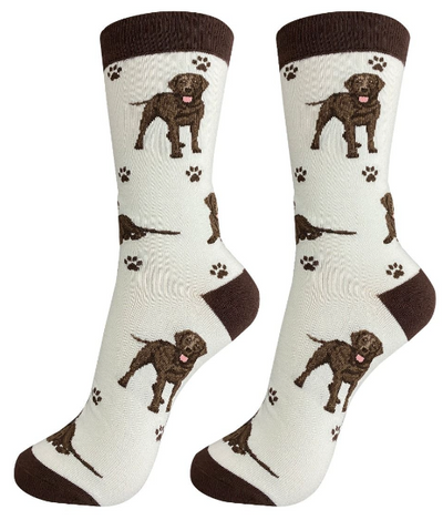 Happy Tails Socks-Chocolate Labrador