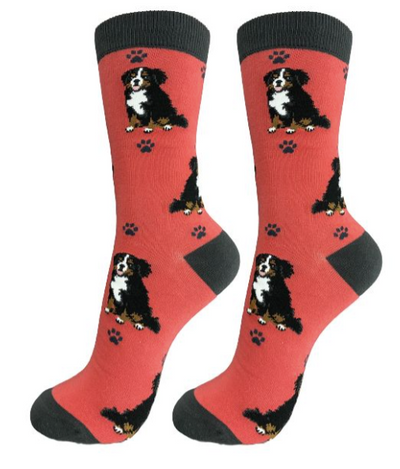 Happy Tails Socks-Bernese Mountain Dog