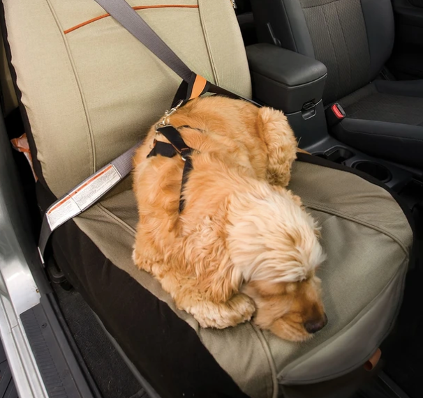 Kurgo CoPilot Bucket Seat Cover