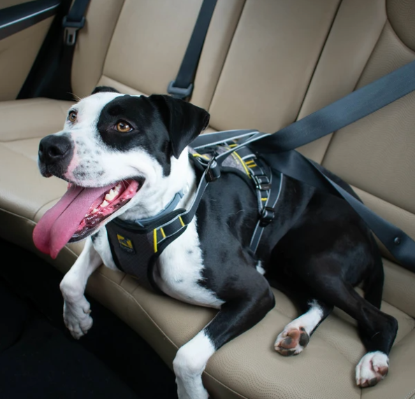 Kurgo Impact Seat Belt Harness