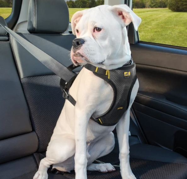 Kurgo Impact Seat Belt Harness