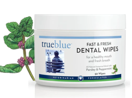 True Blue Fast & Fresh Dental Teeth Wipes