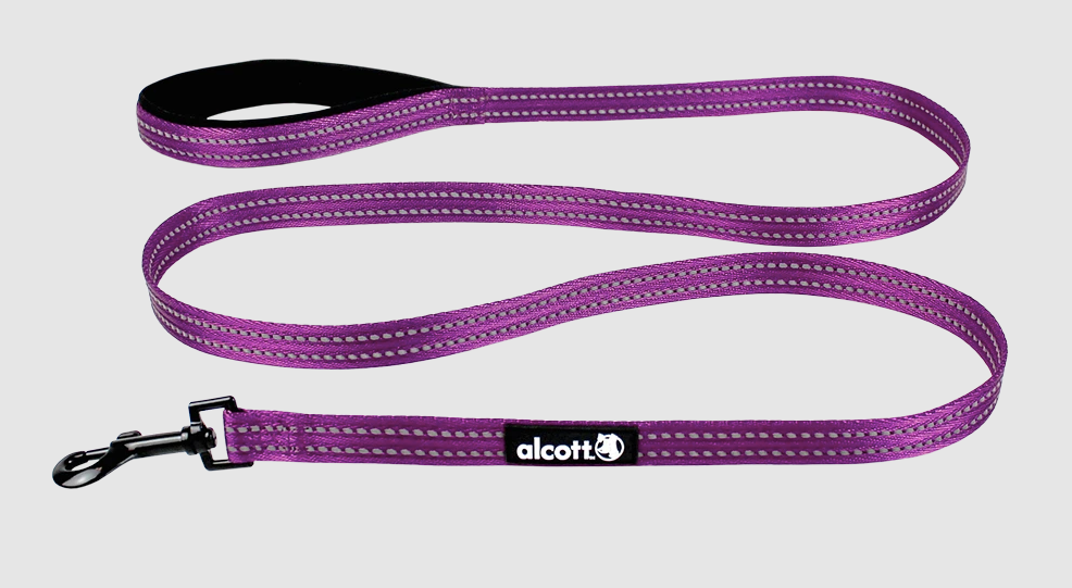 Alcott Nylon Leash-Purple